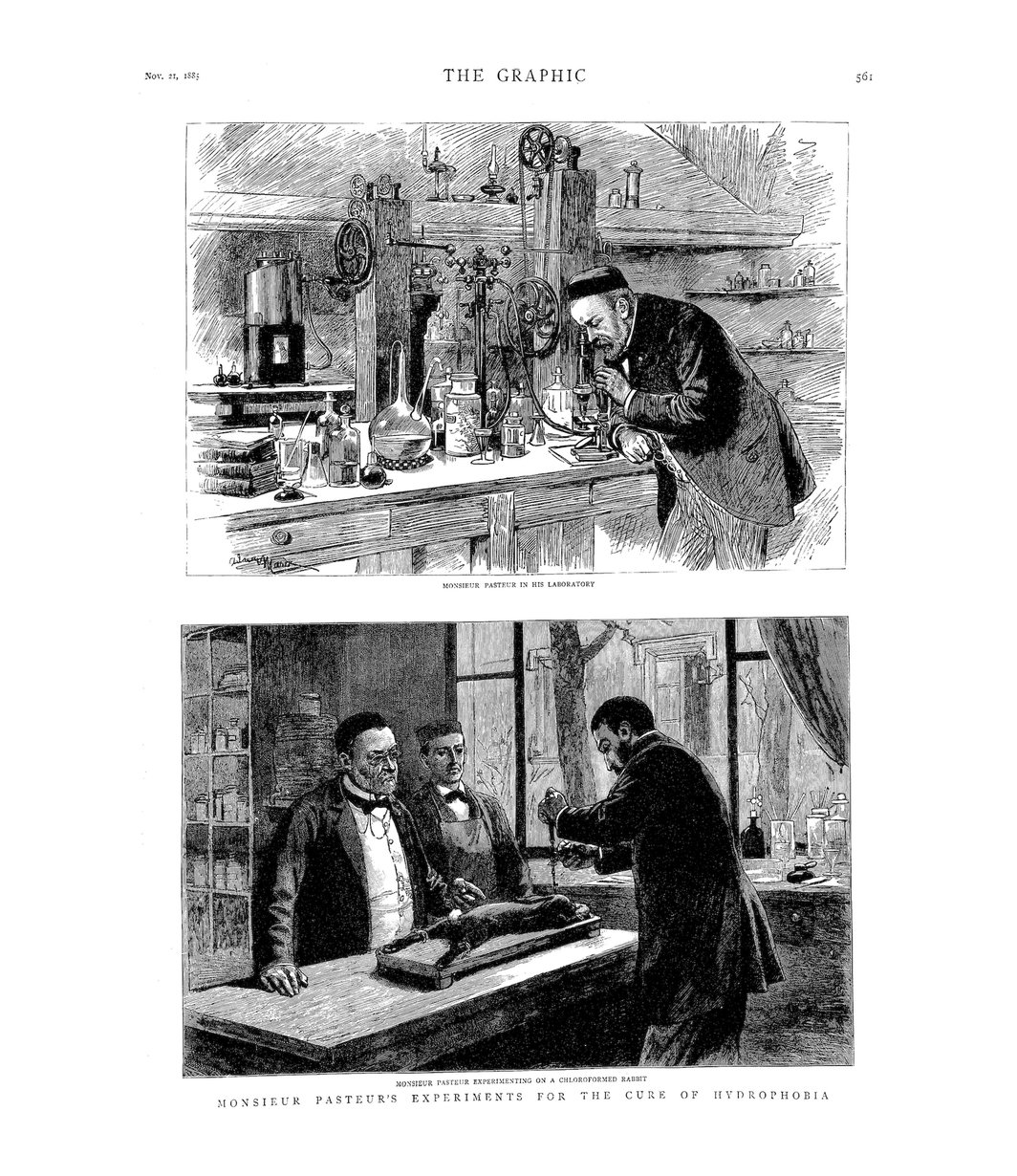 “巴斯德先生治疗恐水症的实验”，《插画》杂志，1885年11月21日.
