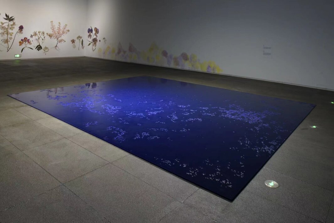 王郁洋，“混沌之宇”展览现场，2024. 前景：《生物克莱因蓝》，2022；背景：《植物》，2023.