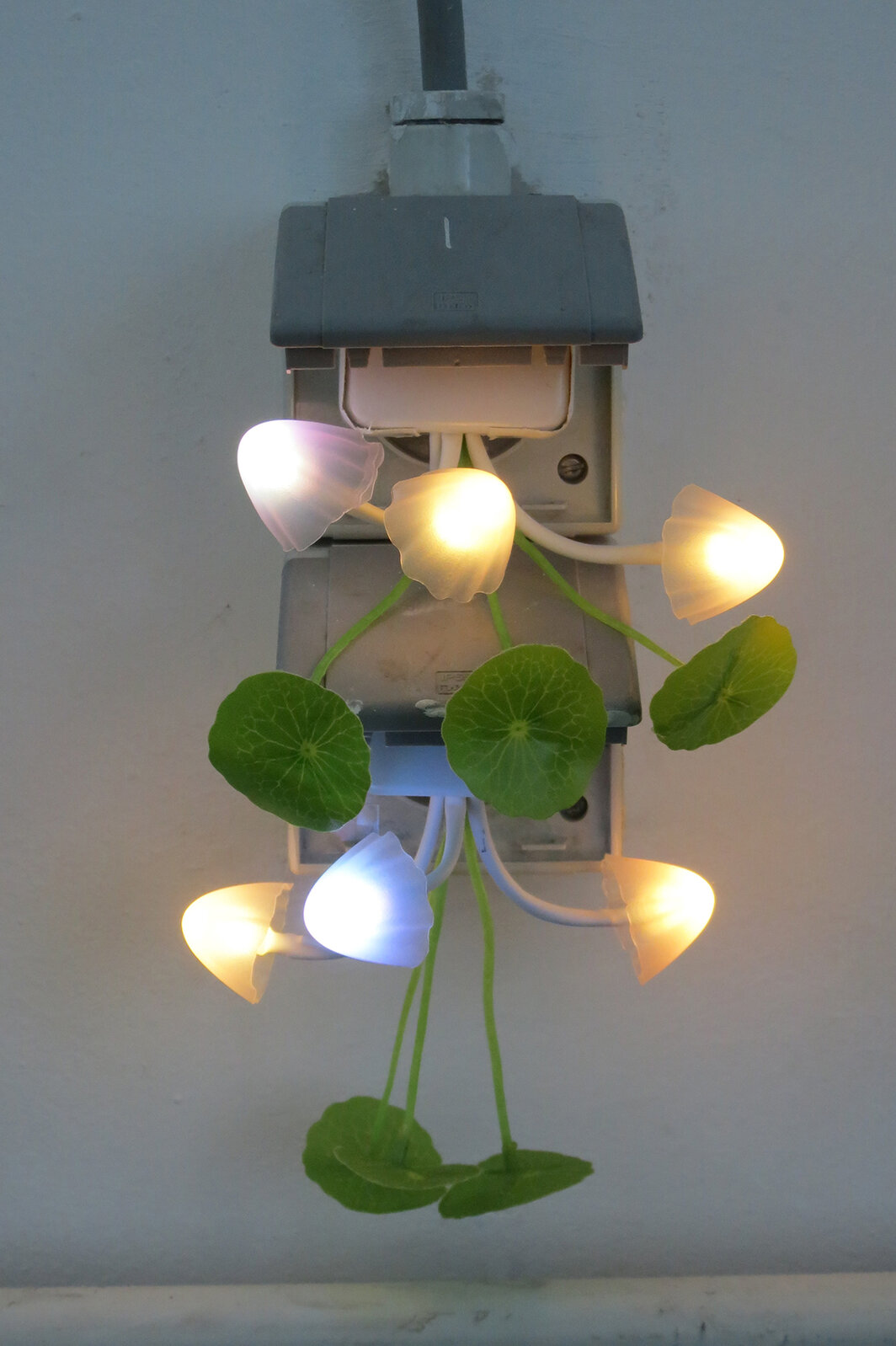 梁芝兰，《蘑菇》，2016，编谱：“将蘑菇夜灯和适配器安装在所有的电源插座上。”展览现场，Wiels当代艺术中心，布鲁塞尔.
